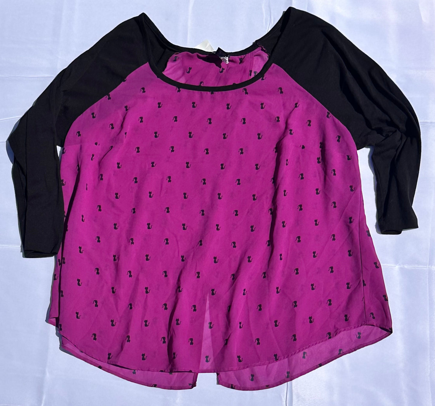 Black Cat Sheer Top