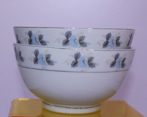 Set of 2 Porcelain Rice Bowls