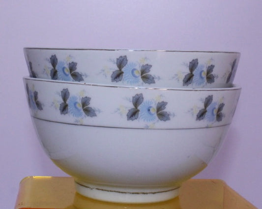 Set of 2 Porcelain Rice Bowls