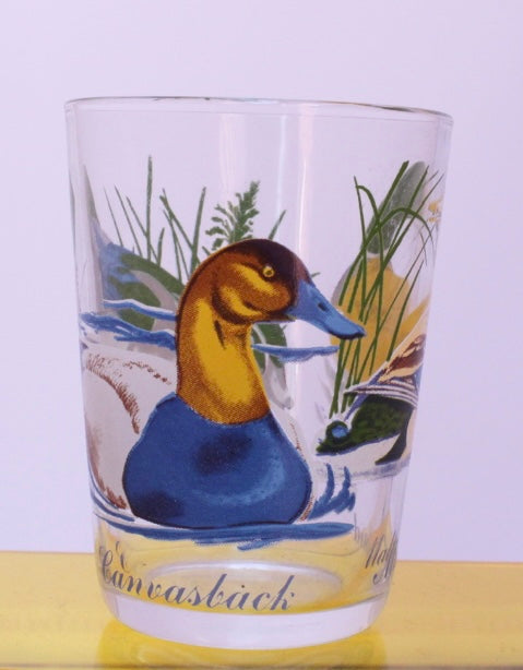 Duck Shot ... glass