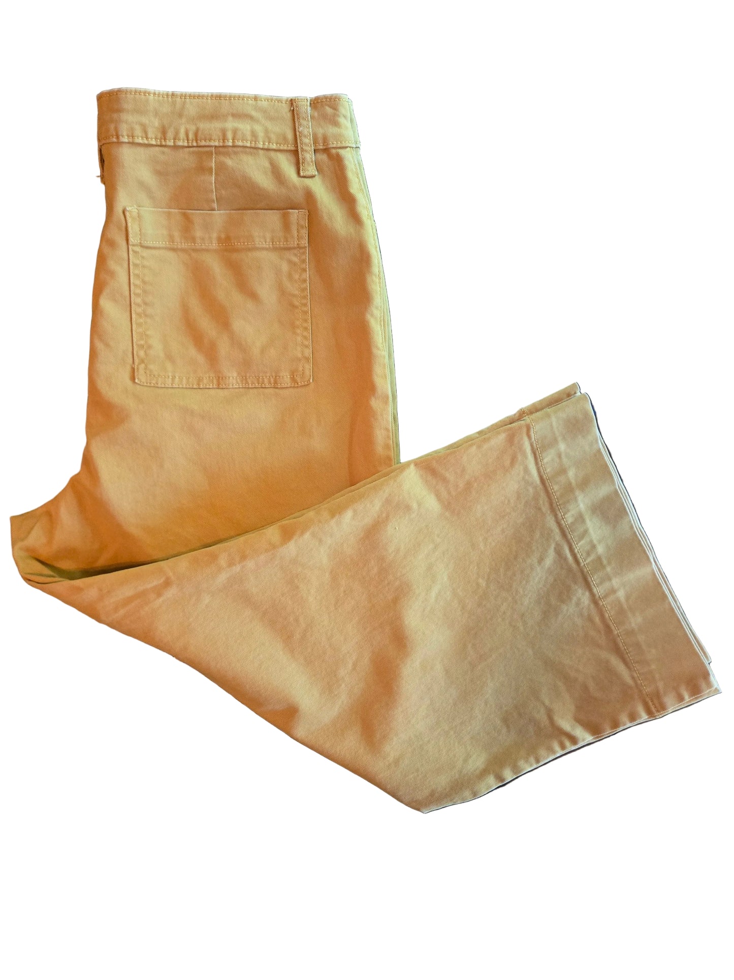Yellow Gouchos